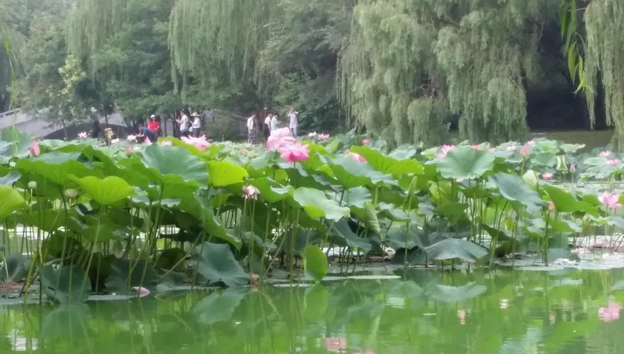 命理師提醒清明禁忌！3種水果千萬別拜　恐惹來厄運
