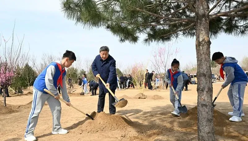 習近平「無視川普」淡定種樹？英媒：或已決定放手一搏