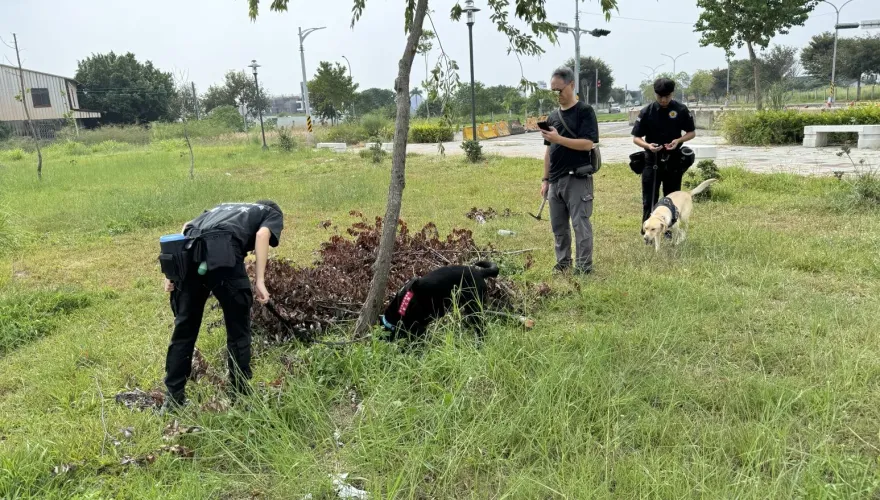 影/法網恢恢！台中毒販公園「埋大麻」交易　靈敏警犬找出2公斤毒包