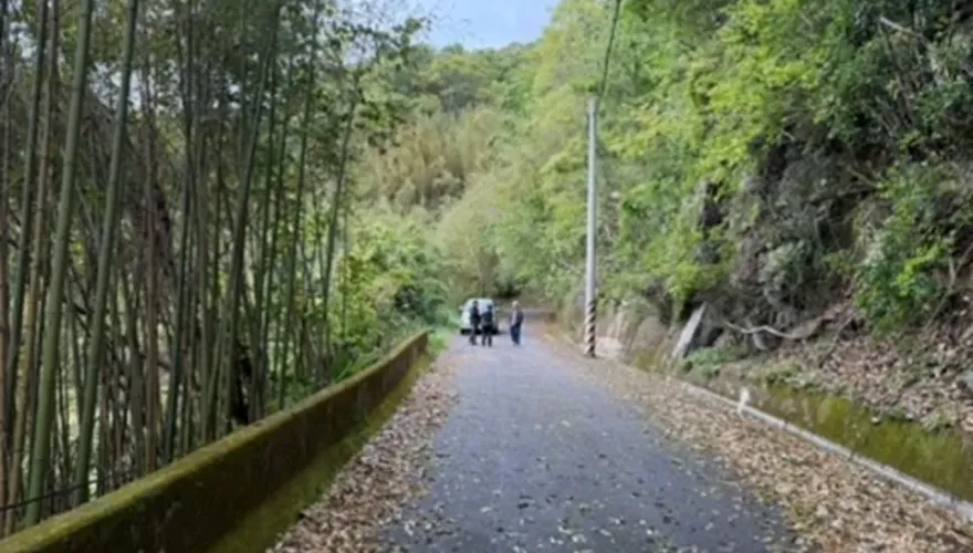 暌違24年北台灣現蹤！桃園復興哈凱族人目擊台灣黑熊