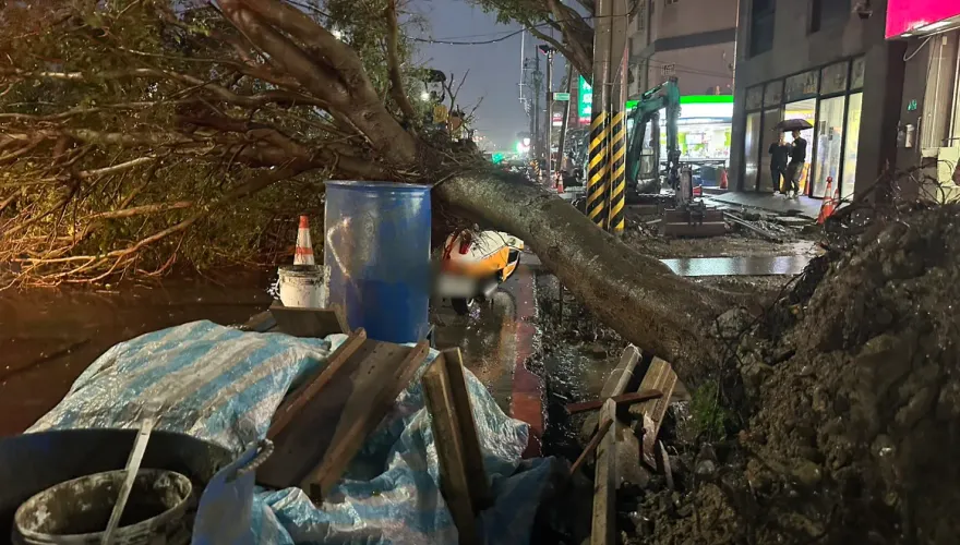 限量機車遭路樹壓毀！維修費12萬只賠1萬　竹市府：違規停車