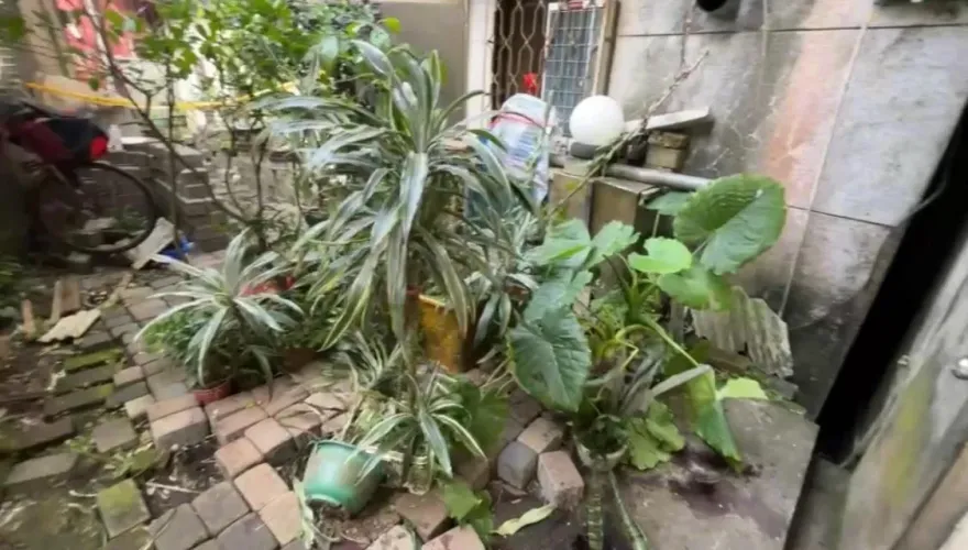 與鄰吵架「挖出兩顆眼球」！　他雙眼落地…一顆被捏爛