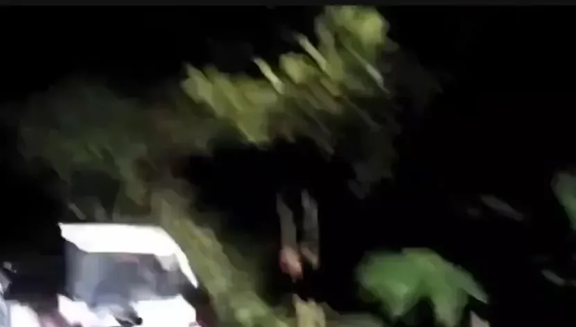 影/債務糾紛押人衝深坑山區！警開3槍逮3嫌