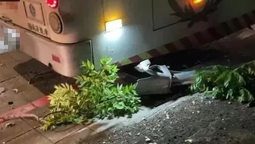 士林夜間驚魂！國光客運撞人行道路樹　乘客驚慌急報警