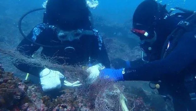東海岸珊瑚產卵季將至　「潛海戰將」清廢漁網守護生態