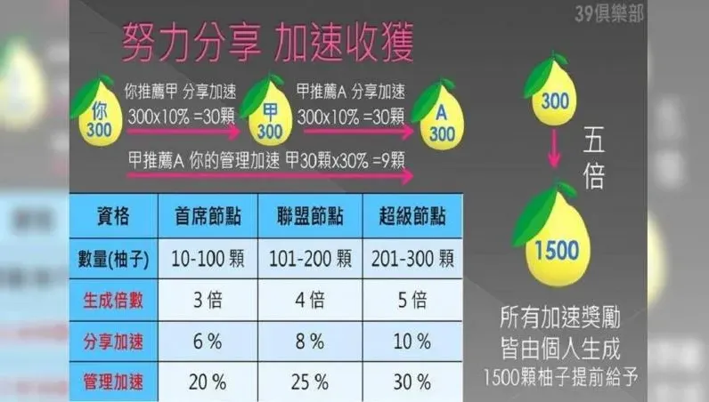 台南前扶輪社長變身詐騙首腦　柚子幣吸千萬遭羈押禁見