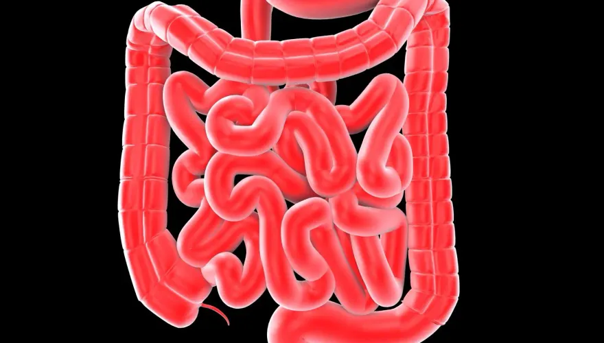 大腸癌年輕化元凶找到了？研究：童年期腸道壞菌恐為禍根