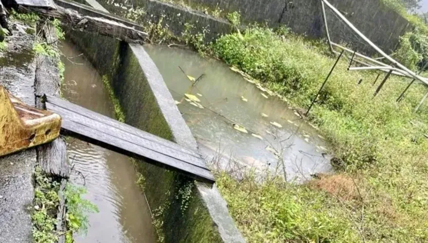 金山釣客陳屍排水溝　家屬懷疑「他殺」檢警查出真相