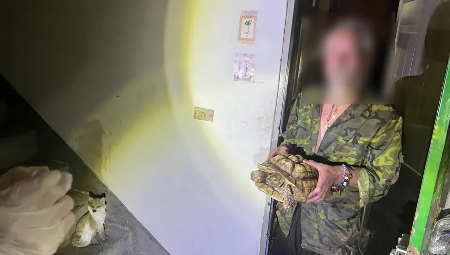 影/桃園偷象龜賊「廢墟宅」曝光！63歲翁思妻曾養164隻兔