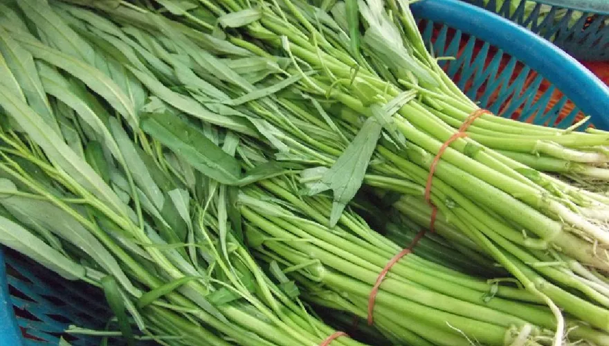地瓜葉、小白菜缺貨！小吃店燙青菜剩空心菜　網揭主因