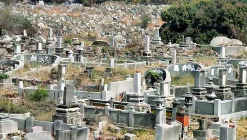 真變成夜總會？南山公墓打造類西班牙瘋狂星期五狂歡活動　南市府說話了