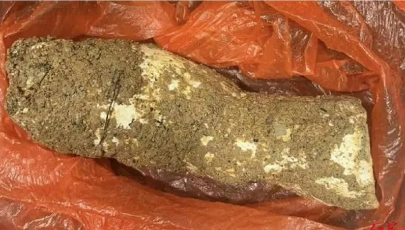 野菇湯變奪命毒藥！阿嬤誤採毒菇　祖孫4人3命危
