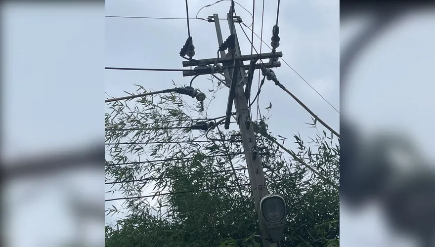 台中神岡區363戶近2小時停電！台電：竹子碰觸線路所致