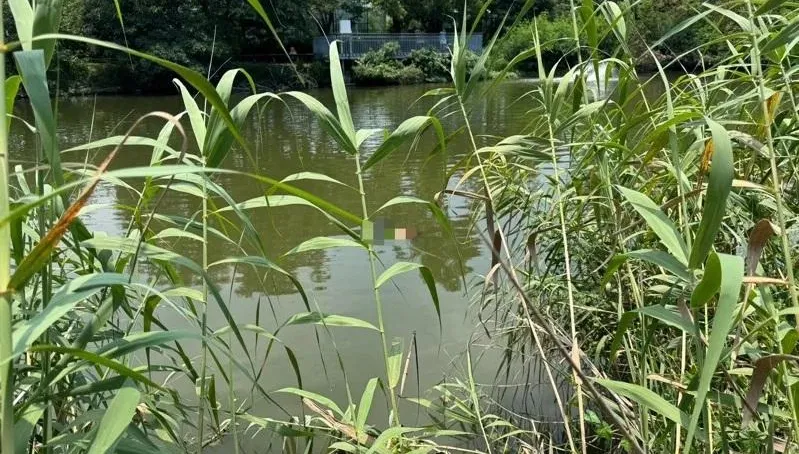 24天2人送命慘變「身亡熱點」！台南巴克禮公園又有浮屍