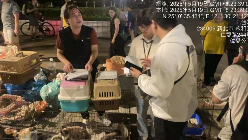 猴塞雷！港女離台「棄養23隻犬貓」　動保處開罰列黑名單