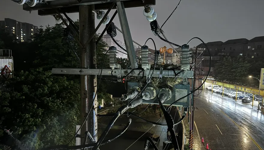 八德人注意！鳥類築巢釀4300戶停電　台電：已全面復電