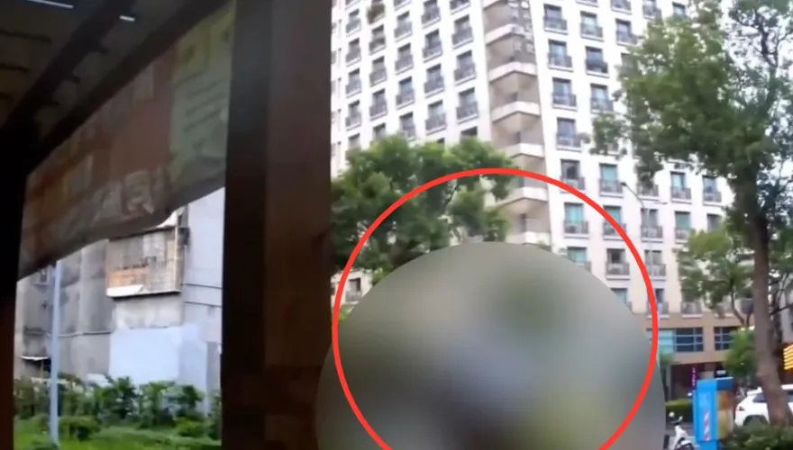 影/北市婦公園乘涼「莫名被K」　後腦勺腫一包怒提告