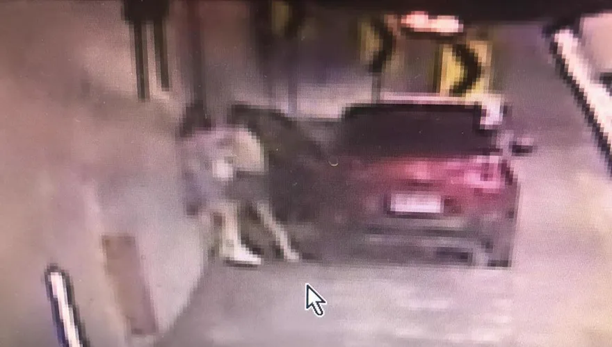 影/手機遭丟出車外！雪隧母女停車互毆打　女兒聲請保護令
