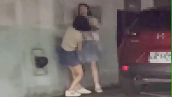 影/雪隧「母女避車彎互毆」最新！衝突竟因「藍芽」