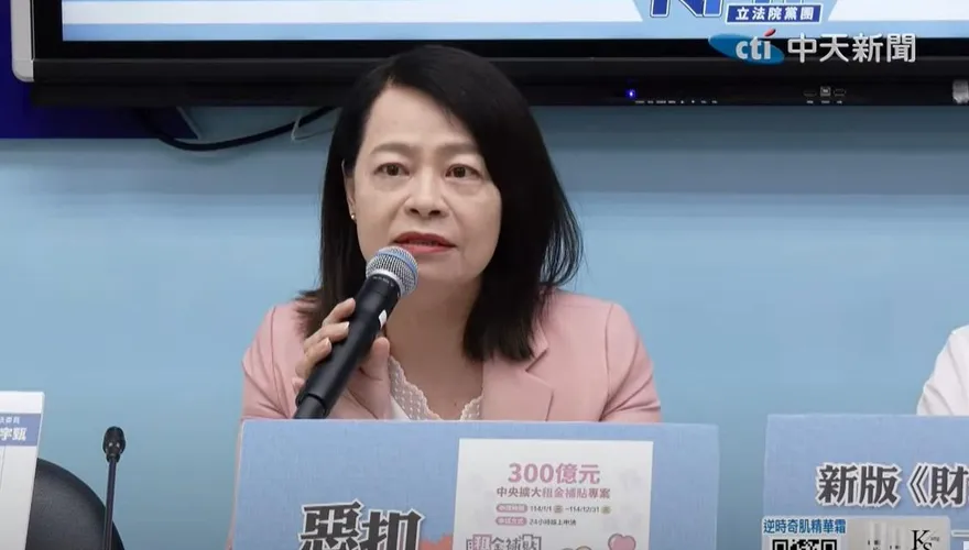 將辦百場說明會反制罷免　國民黨：合作白營催出年輕票