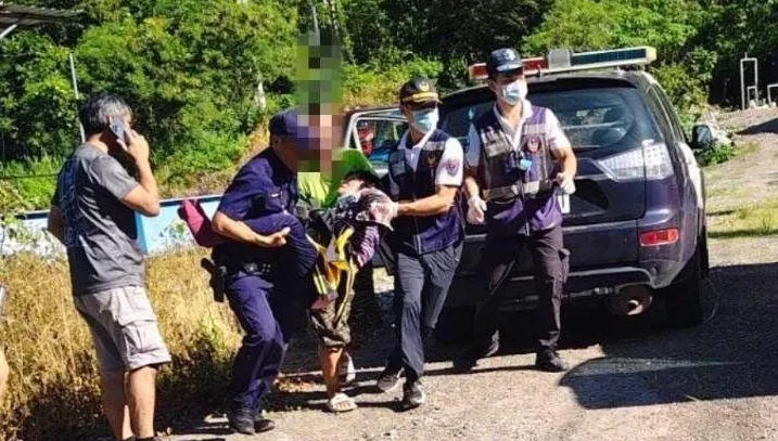 影/高雄塔拉拉魯芙隧道「虎頭蜂圍攻89歲嬤」　送醫搶救