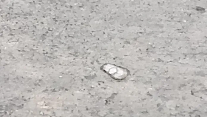 影/屏東鹽埔鄉驚見冰雹！四村莊受影響　民眾：好可怕