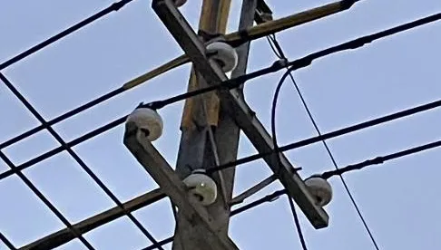 鳥觸及高壓線！台中三區521戶傍晚停電　台電：已復電