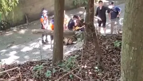 疑愛不到彩券妹就砍人！　兇嫌躲山區滅證結果三度燒燙傷
