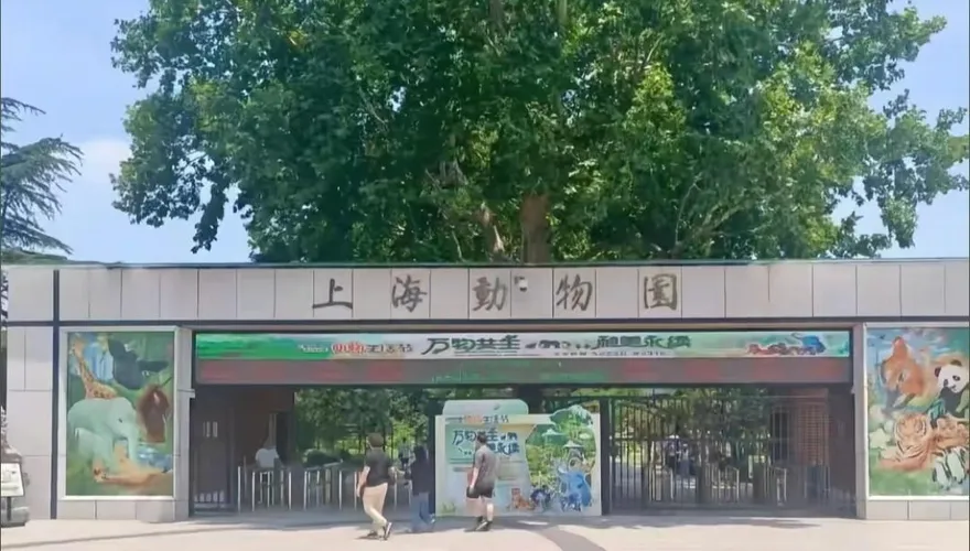 10月嬰「用奶瓶喝奶」竟遭驅趕！上海動物園：不文明