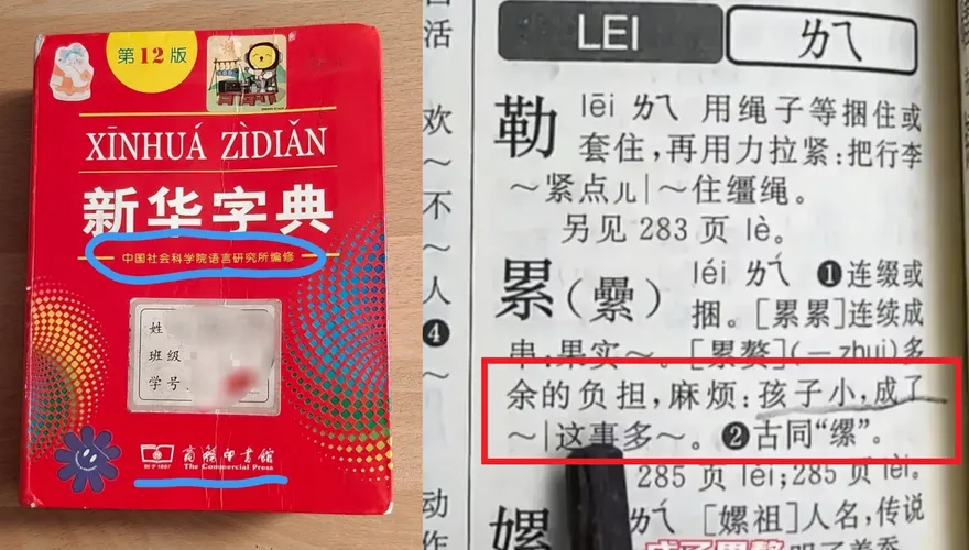 陸字典驚見「孩子小成了累贅」例句　網怒：傷害自尊心