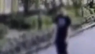 喪心病狂！陸男在幼兒園旁虐殺四貓　僅受思想教育惹公憤