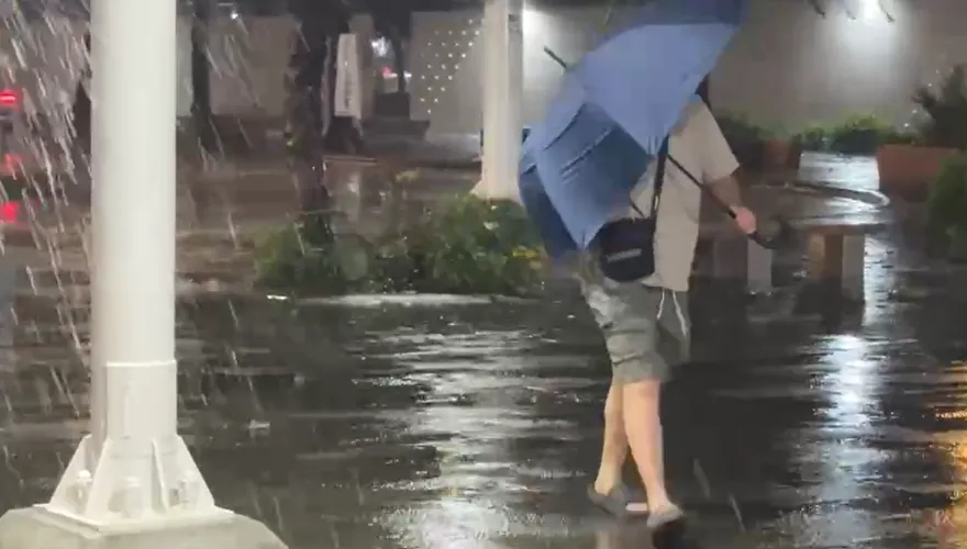 影/颱風搖滾區！台南樹倒壓燈、電線走火　牆倒砸門擋出口