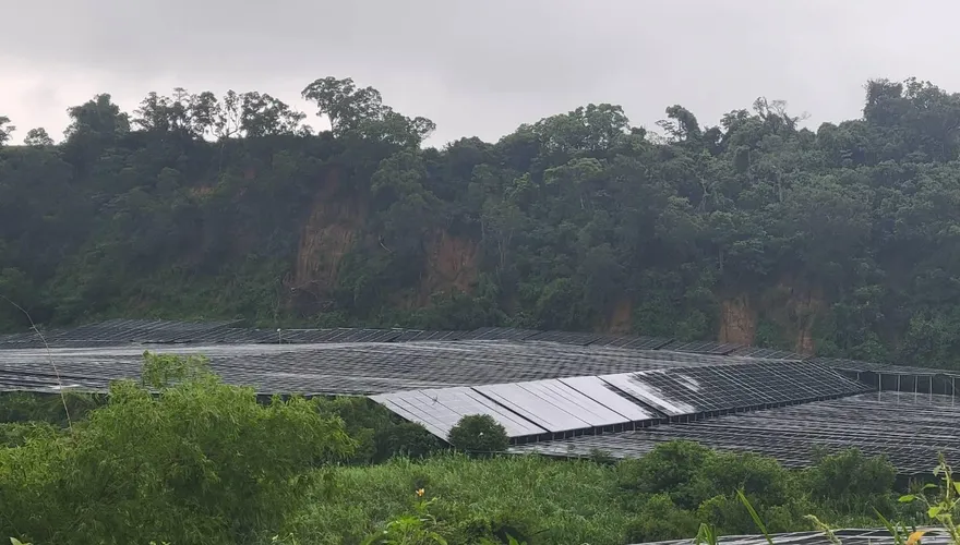 先簽約才開說明會！屏東要在公墓蓋光電場　村民嗆反對到底