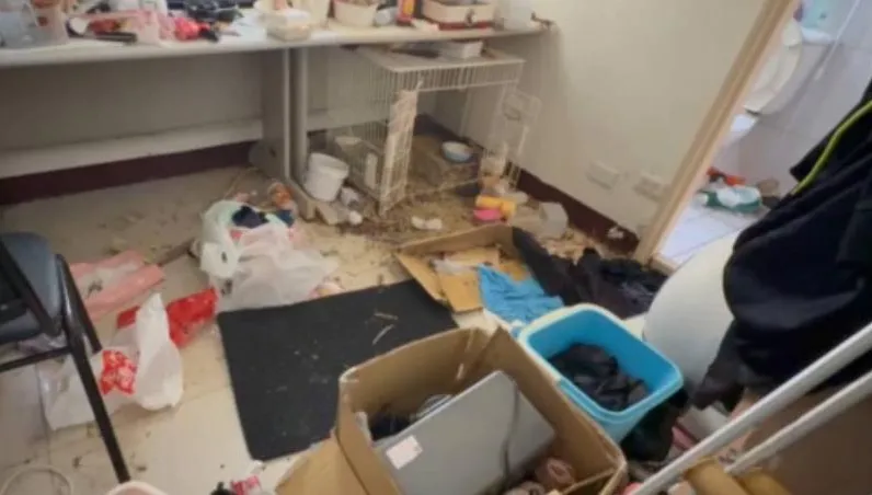 惡房客報復退租！毀壞水龍頭放水淹屋　兔子餓死屋內