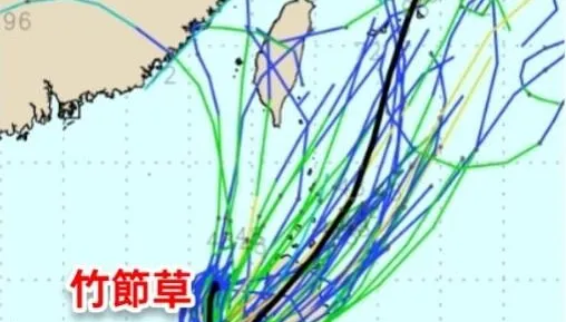 颱風假有機會？竹節草「迴轉北衝」　專家示警：恐登陸台灣