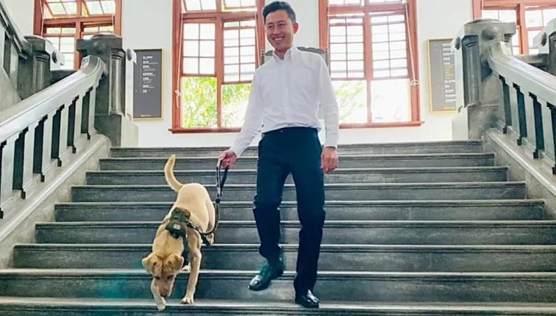 市犬變浪犬！　新竹市府犬「棕棕」遭遺棄重回收容所