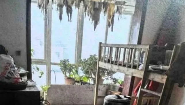 地獄房客！陸情侶租屋變垃圾堆　陽台掛滿「詭異狗皮」房東崩潰