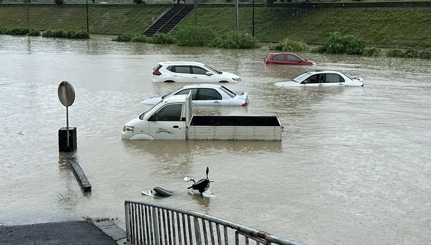 受災車主快看！豪雨泡車報廢可退汽燃費　5監理業務可延期