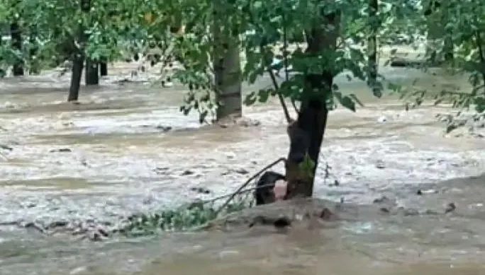 暴雨襲河北！露營地鄰洩洪道致3死4失聯　她「抱樹5hrs」獲救