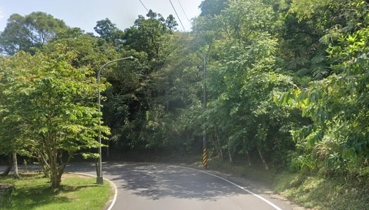 新北汐碇路樹上驚見浮腫男屍　身分為南港失蹤人口
