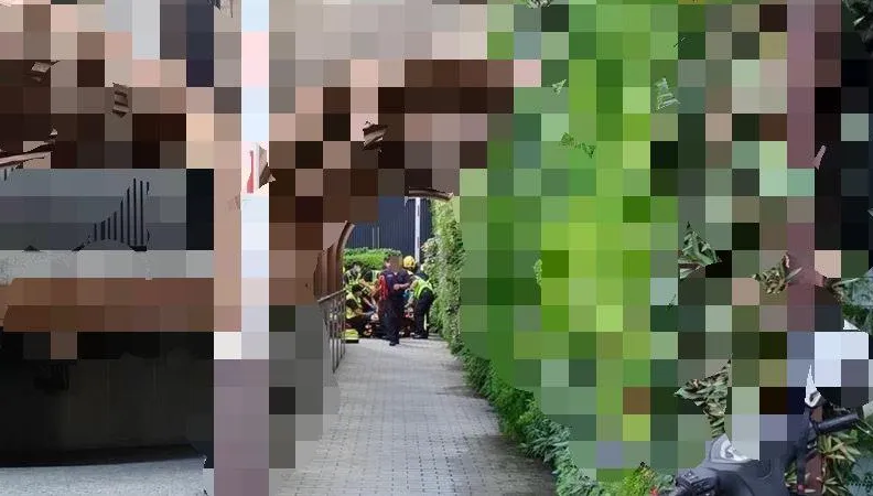 台中七期豪宅43歲男高處墜落花圃　骨折慘死