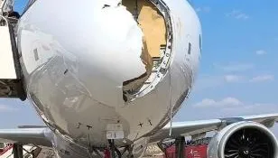 起飛僅20分…西班牙客機遇鳥擊「砰」撞出大洞　駭人畫面曝