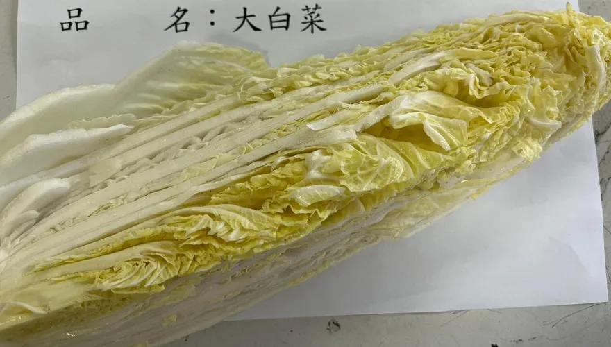 越南進口大白菜驗出農藥超標　食藥署攔截逾3.8萬公斤