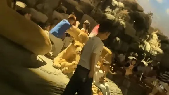 上海自然博物館變「兒童遊樂場」！熊家長抱娃闖禁區騎動物標本