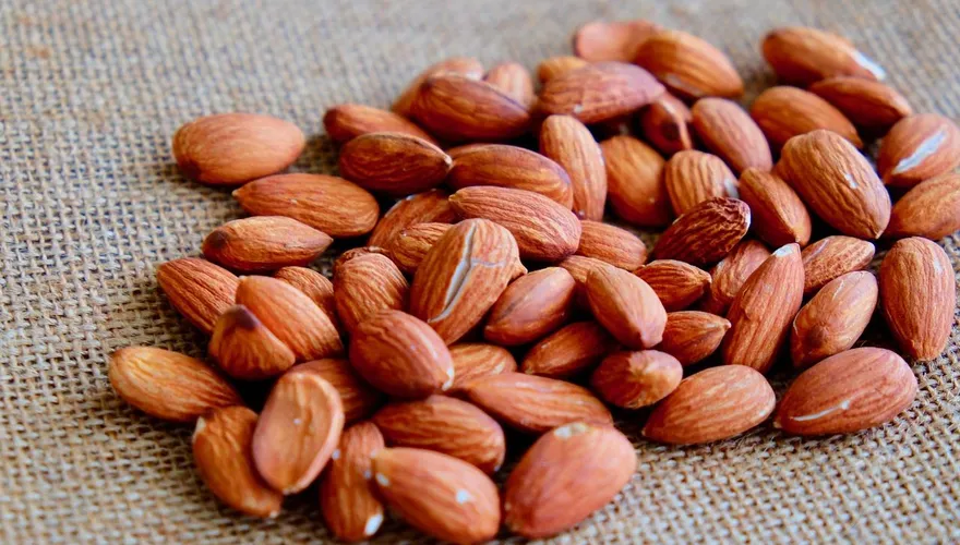 吃錯反傷身？杏仁Omega-6比例過高恐引發慢性發炎