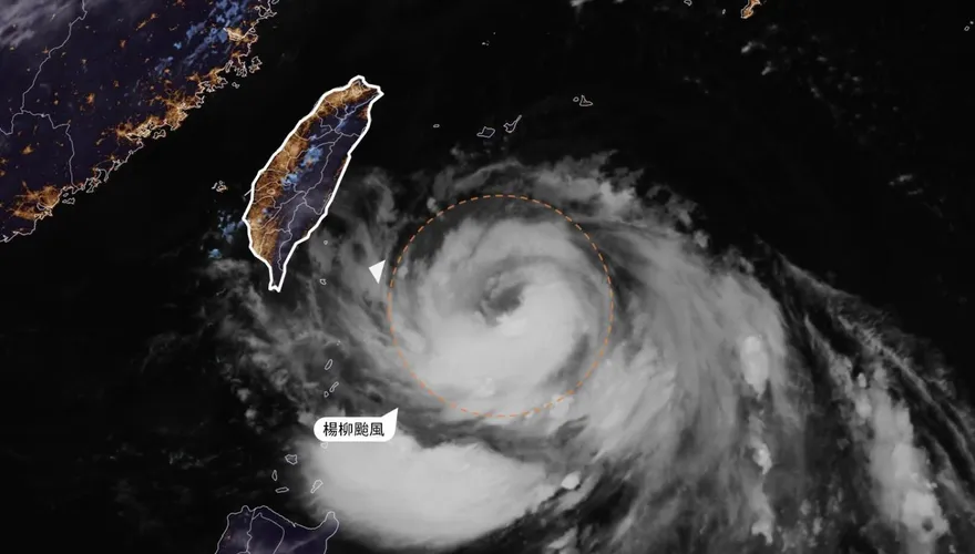 台東變地獄倒霉鬼　專家曝楊柳恐怖風力：不是開玩笑的