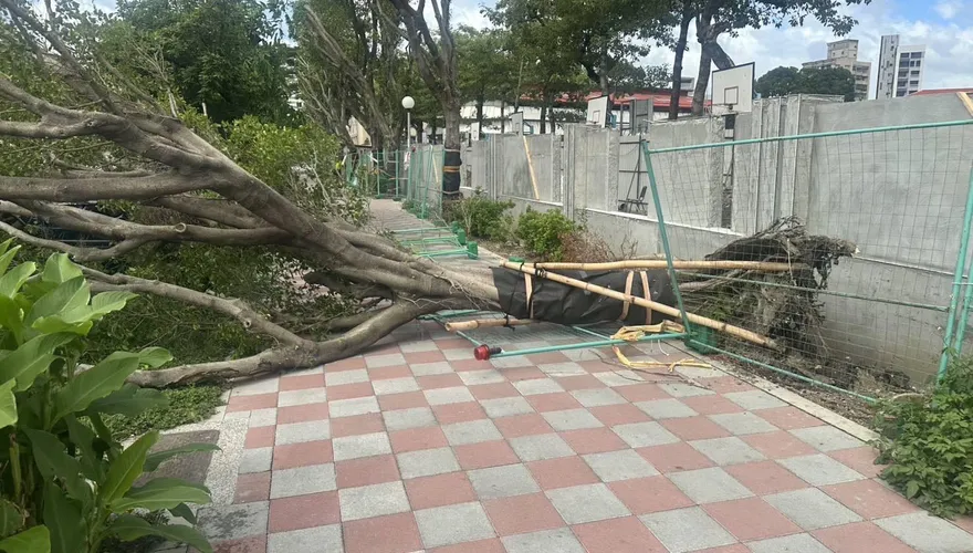 北部沒列警戒仍颳「颱風假級強風」　專家：3原因碰巧配合