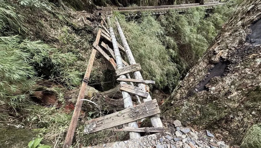 楊柳颱風強折玉山步道樹木、棧橋　登山路線持續封閉