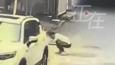 陸急診醫街頭射殺流浪貓！影片瘋傳被停職　網轟：這能當醫師？