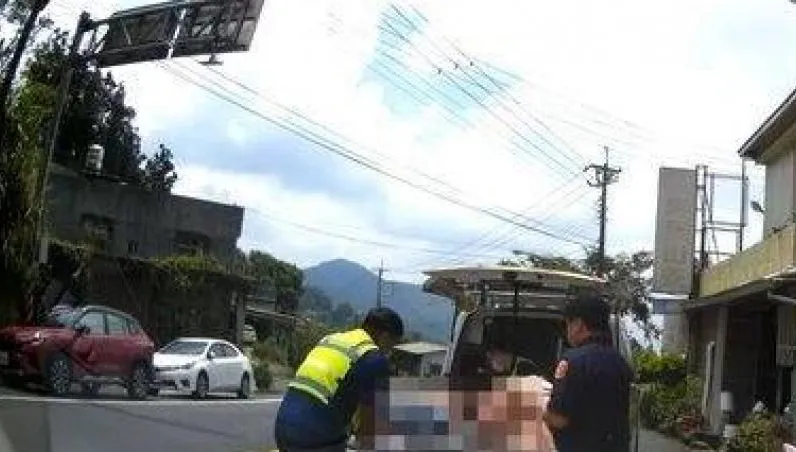 嘉縣男子後山巡水源遭虎頭蜂螫昏　警急載送醫救回一命